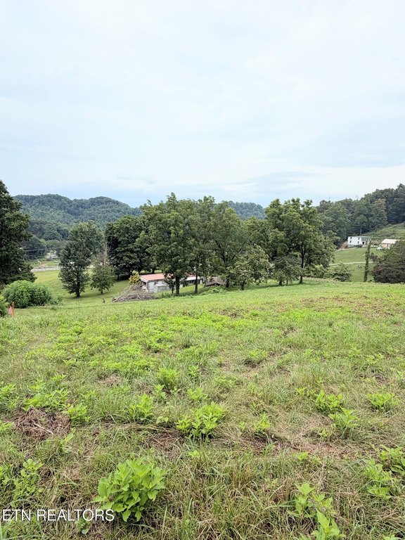 Picture 4