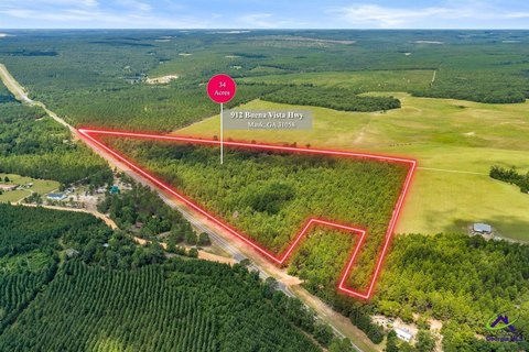 Wooded Recreational Land with Road Frontage