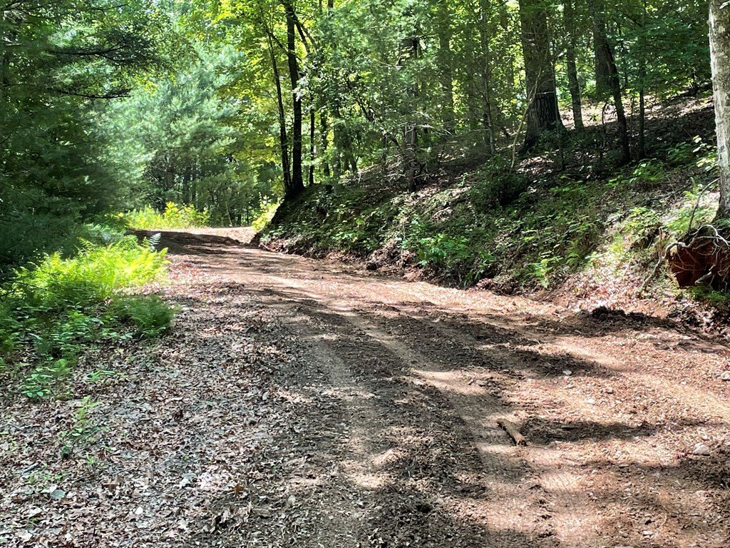 Picture 21
