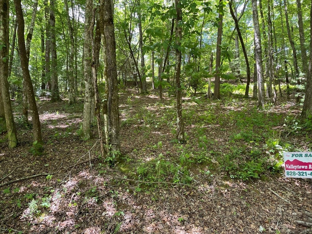 Picture 25