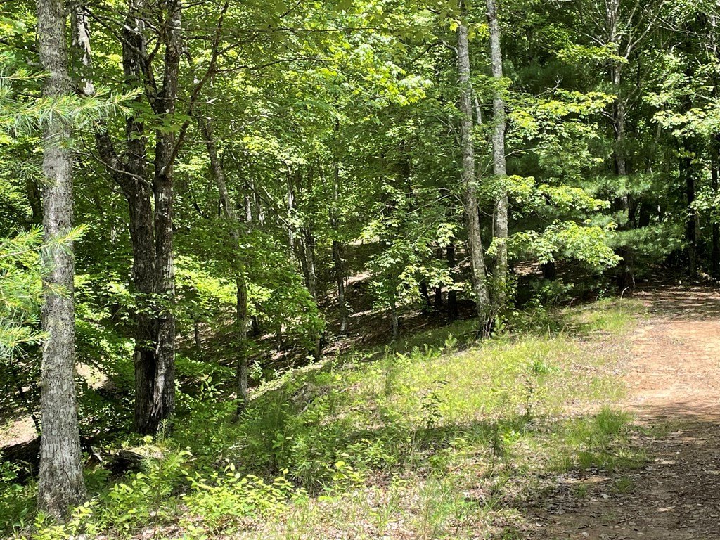 Picture 26