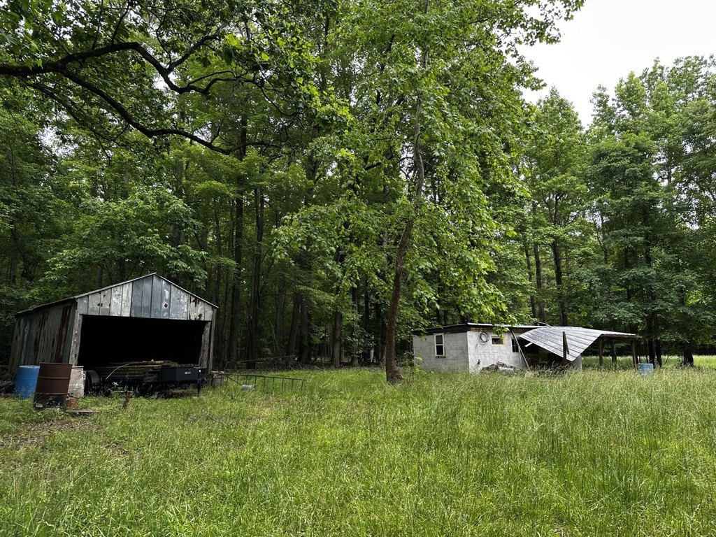 Picture 15