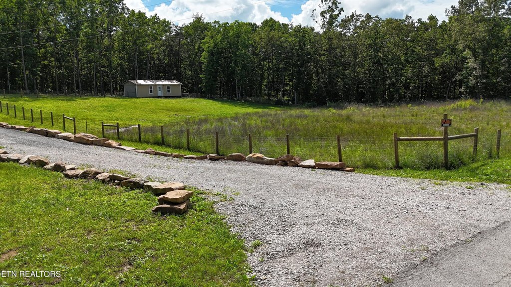 Picture 6