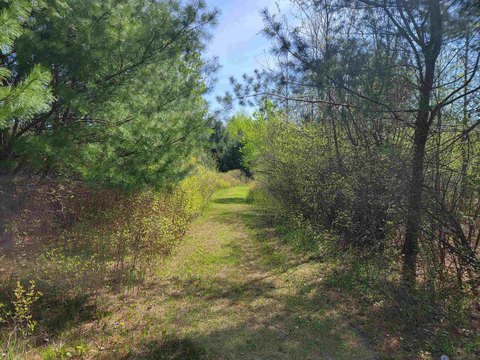 Wooded Recreational Hunting Land