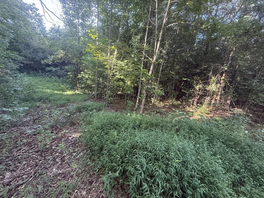 Picture 7