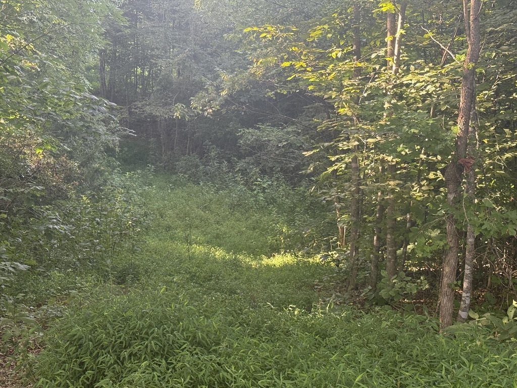 Picture 4