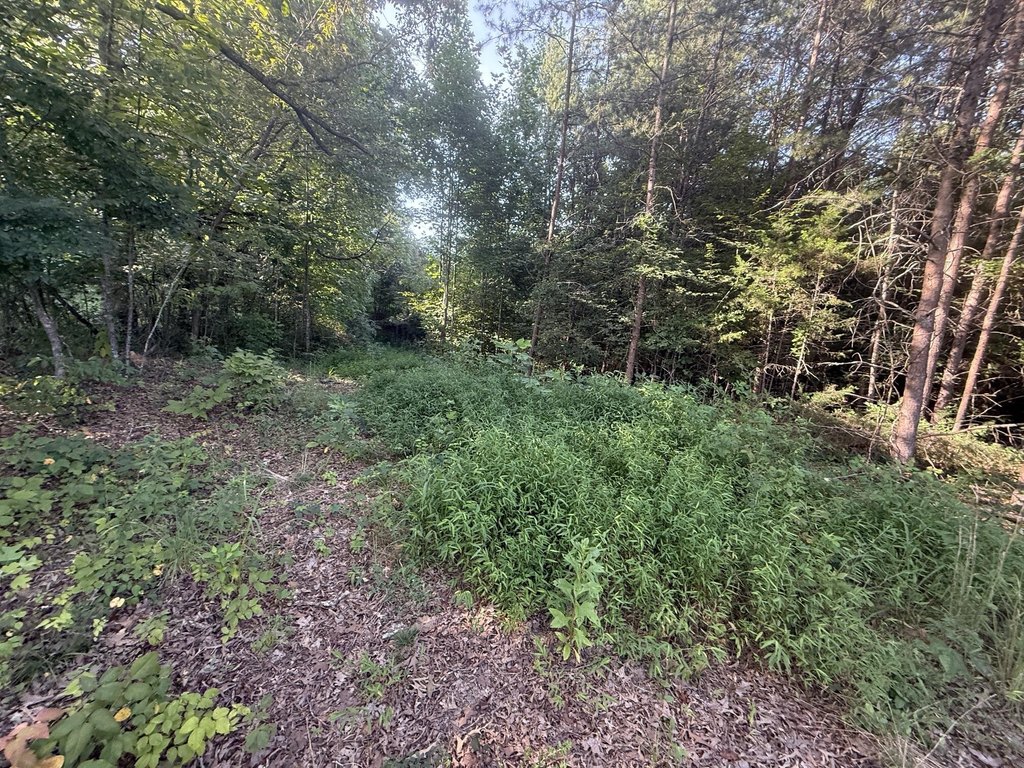 Picture 3