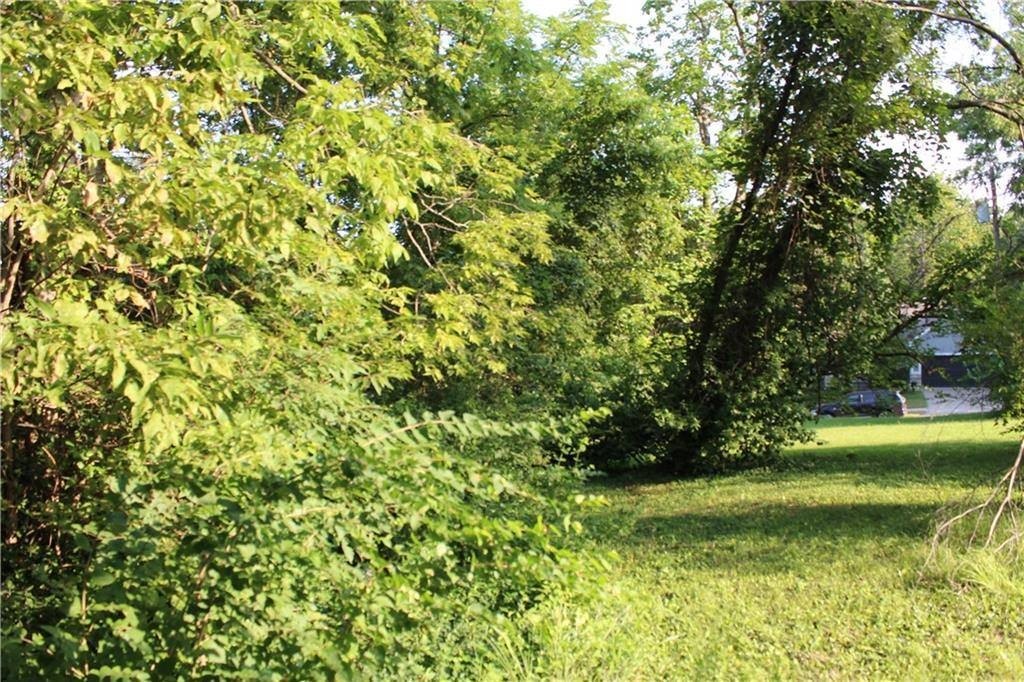 Picture 10