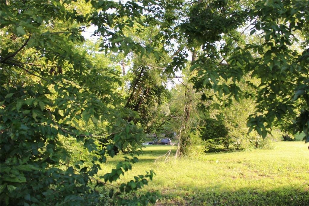 Picture 9