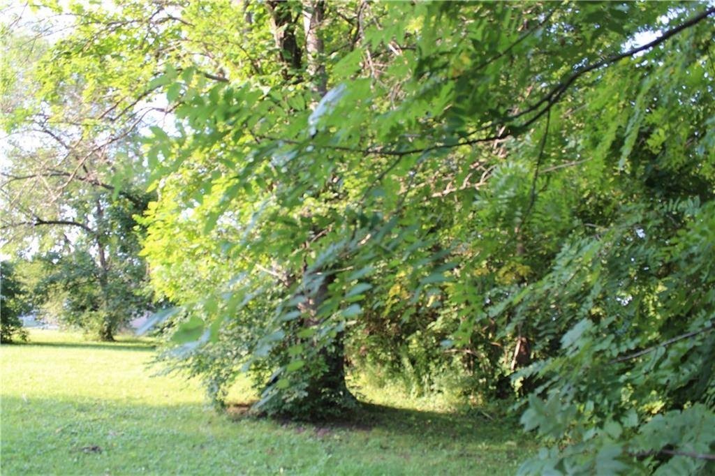 Picture 6