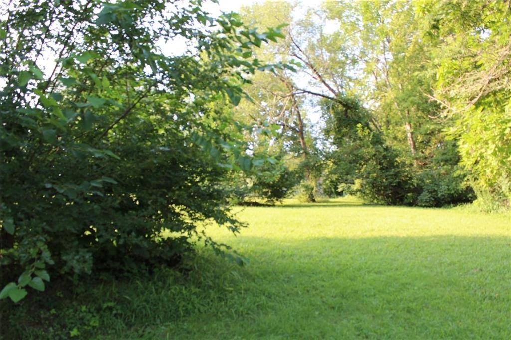 Picture 4