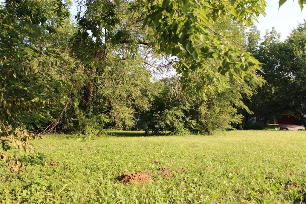 Picture 8