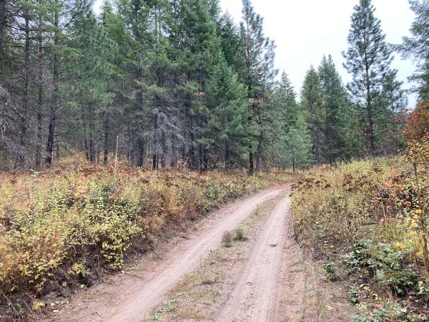 Picture 37