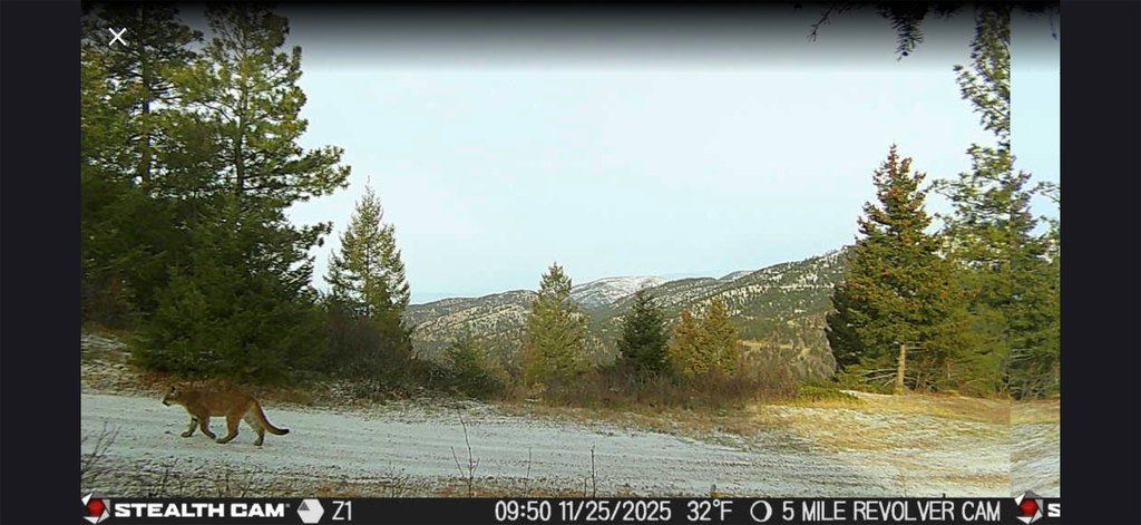 Picture 48