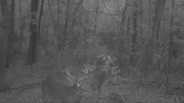 Picture 12