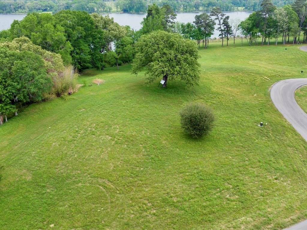 Picture 4