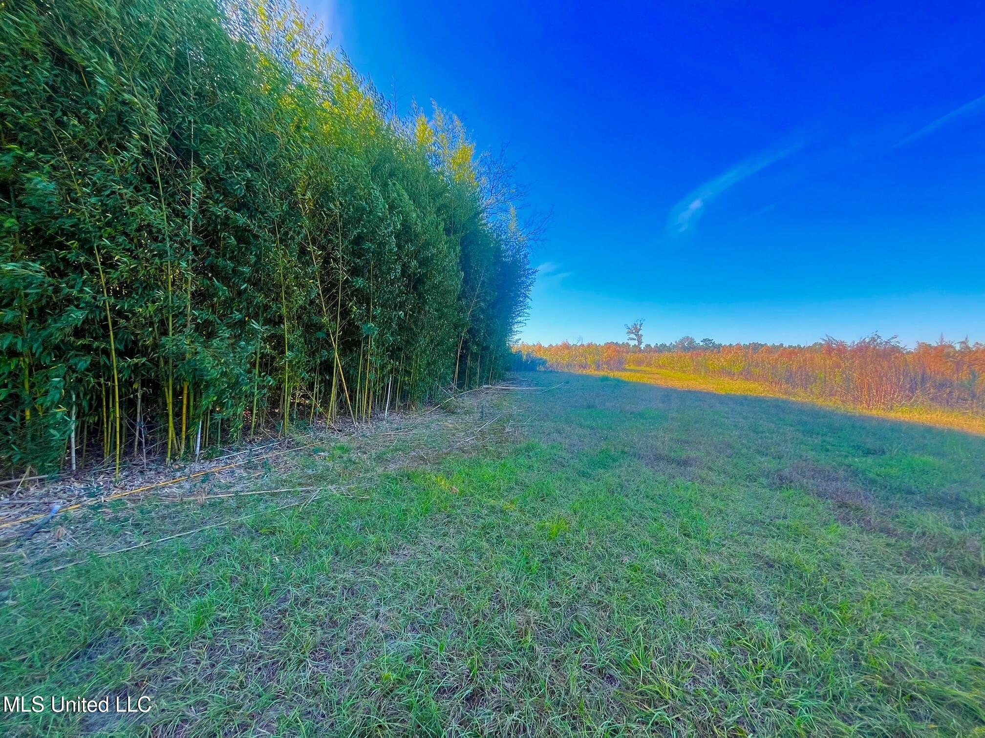 Diverse Country Tract For Sale