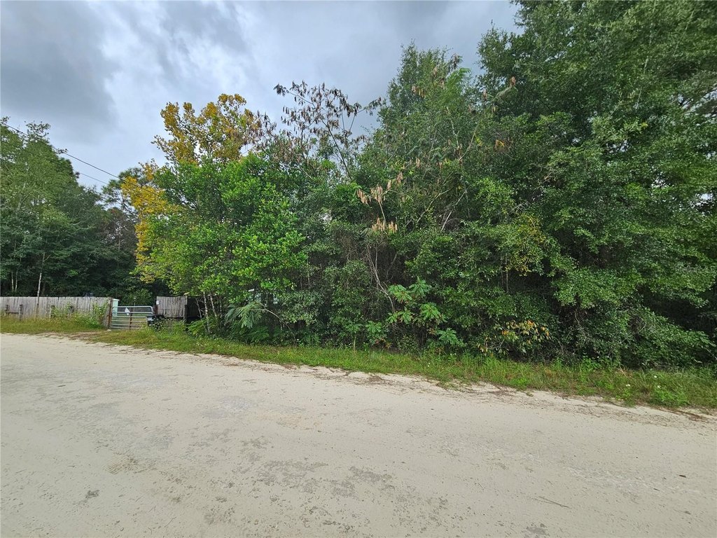 Picture 5