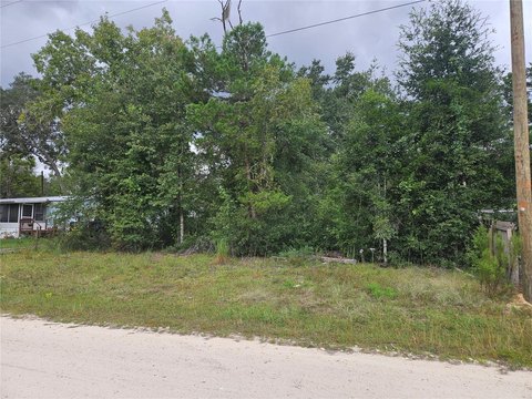 Land, WILLISTON, FL