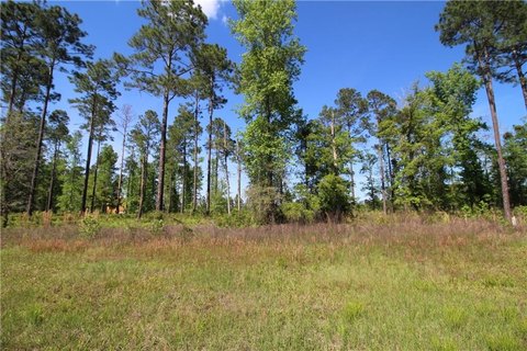Waterfront Homesite in Lakeside at Longwood