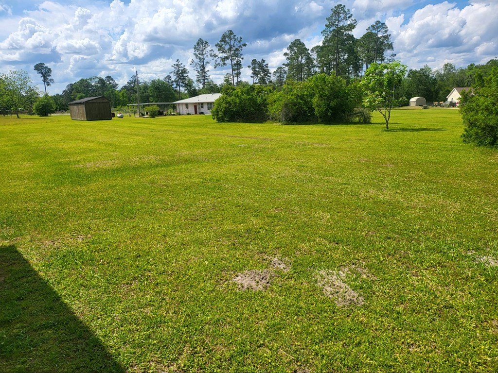 Picture 14