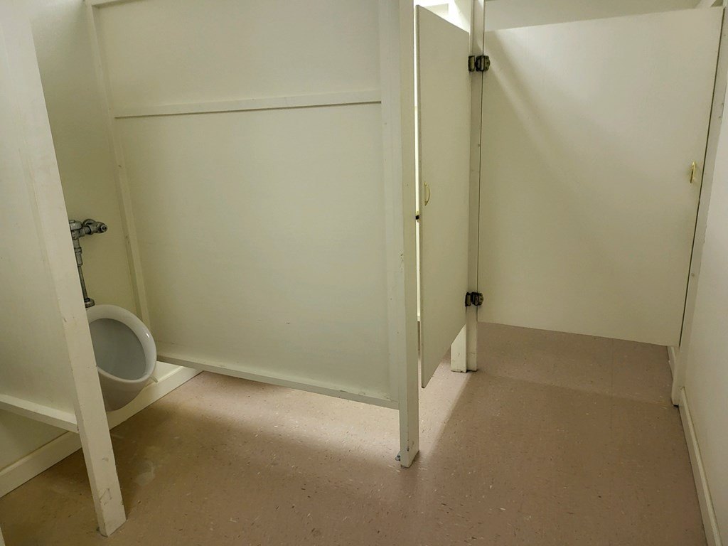 Picture 11