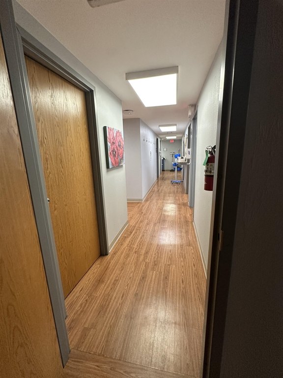 Picture 18