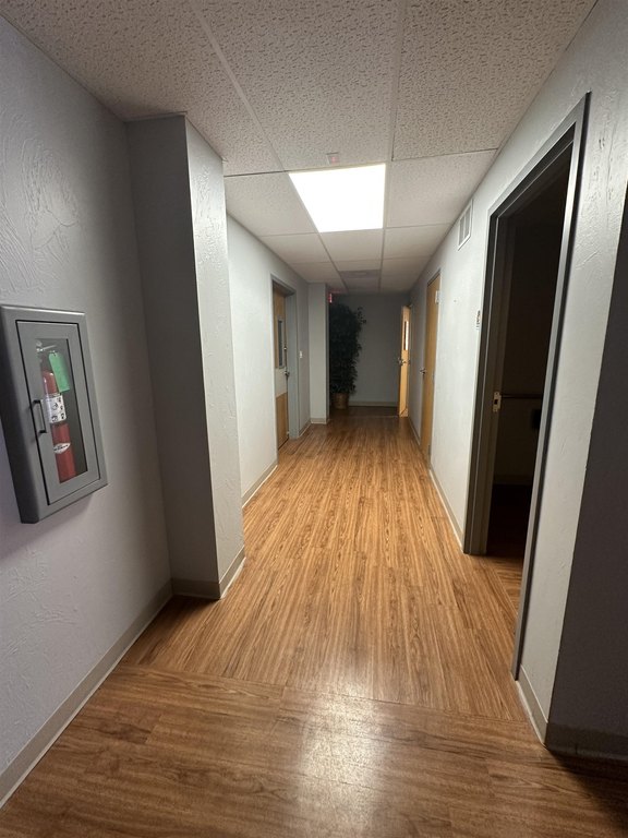Picture 16