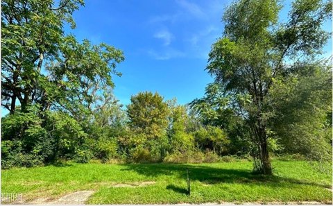 Vacant Land in Flint