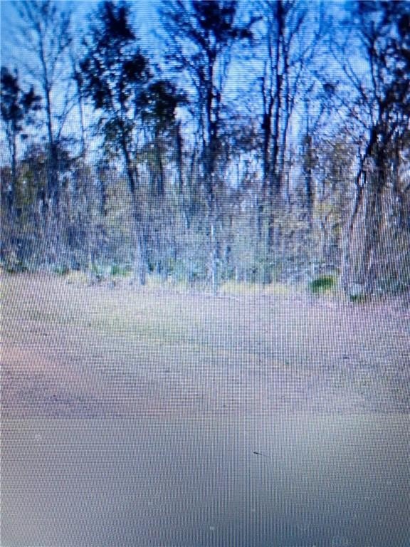 Picture 4