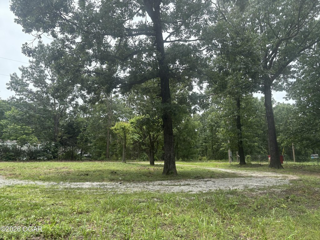 Picture 14