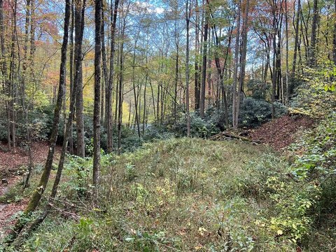 Land Near Lake Nantahala