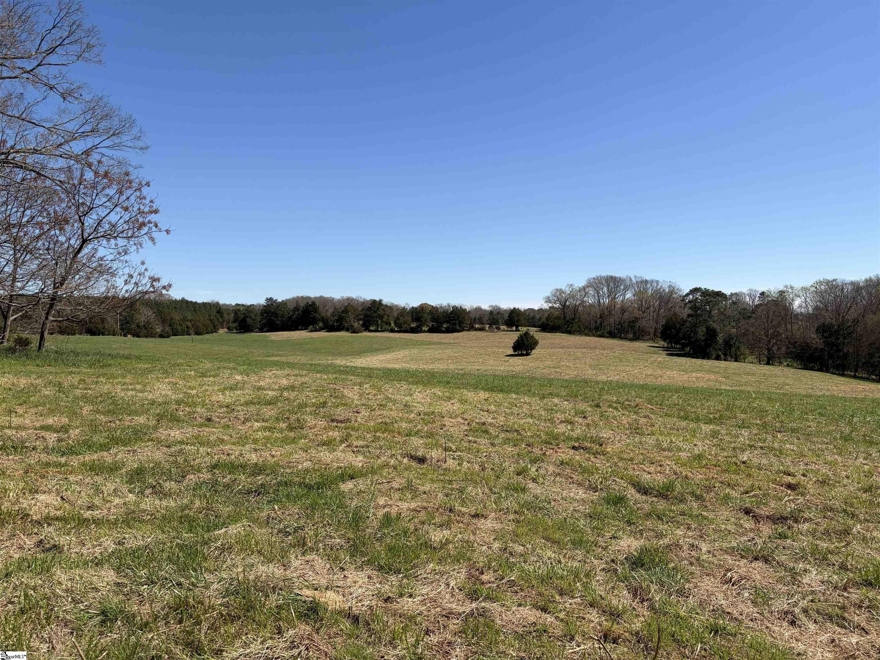 Abbeville County Land For Sale