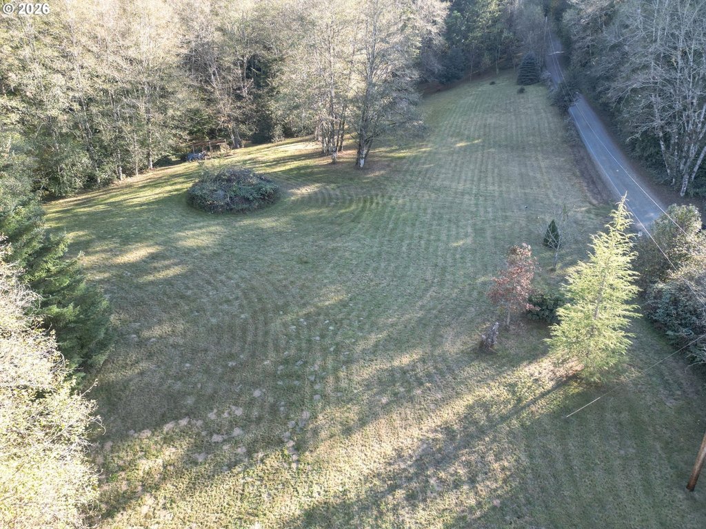 Picture 3