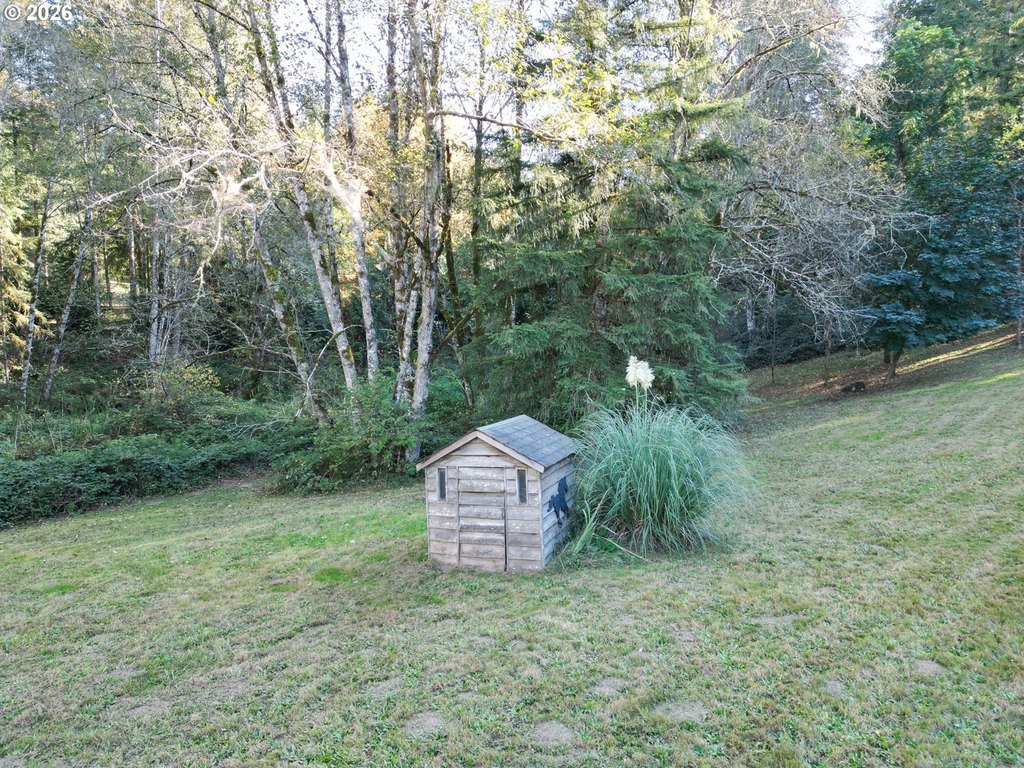Picture 19