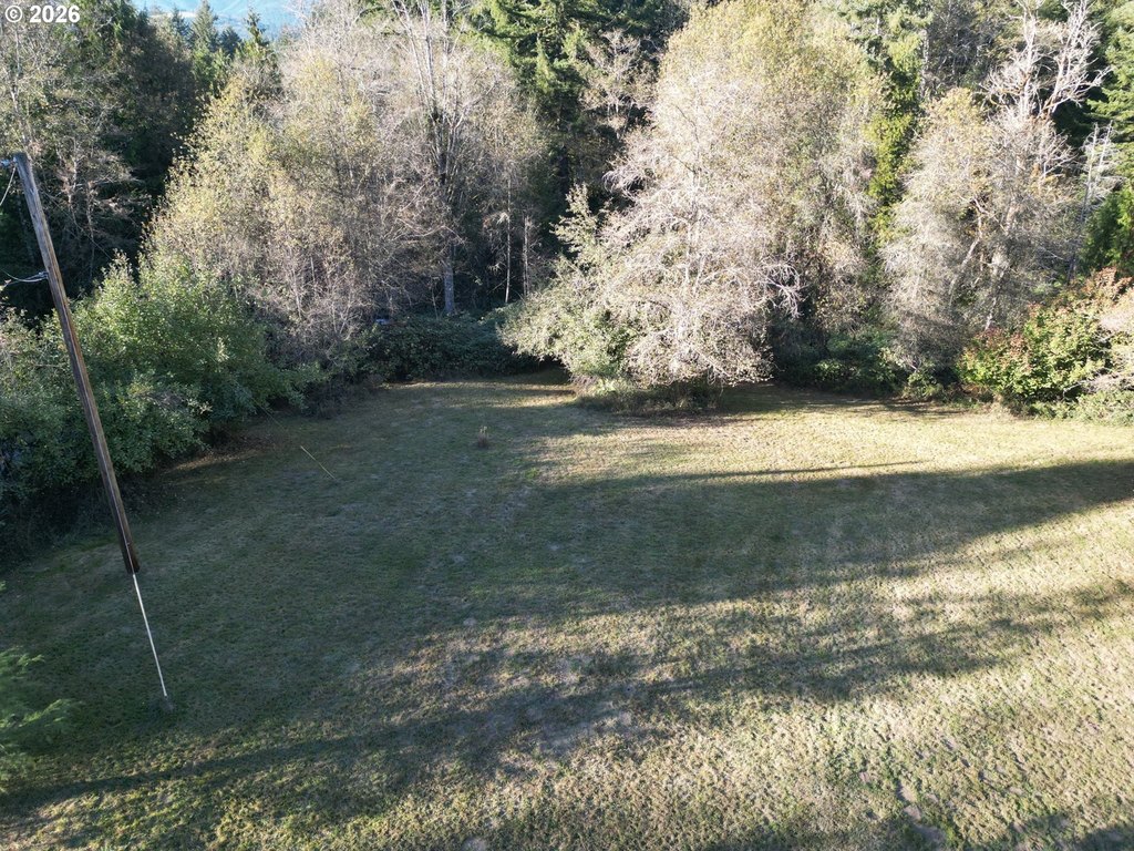 Picture 8