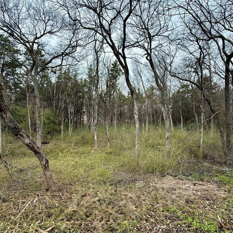 Picture 4