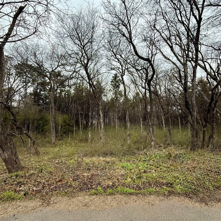 Picture 3