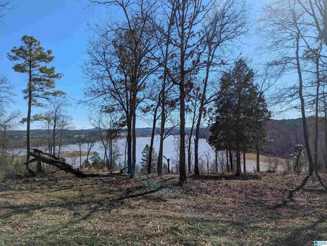 Lakeview Residential Build Lots