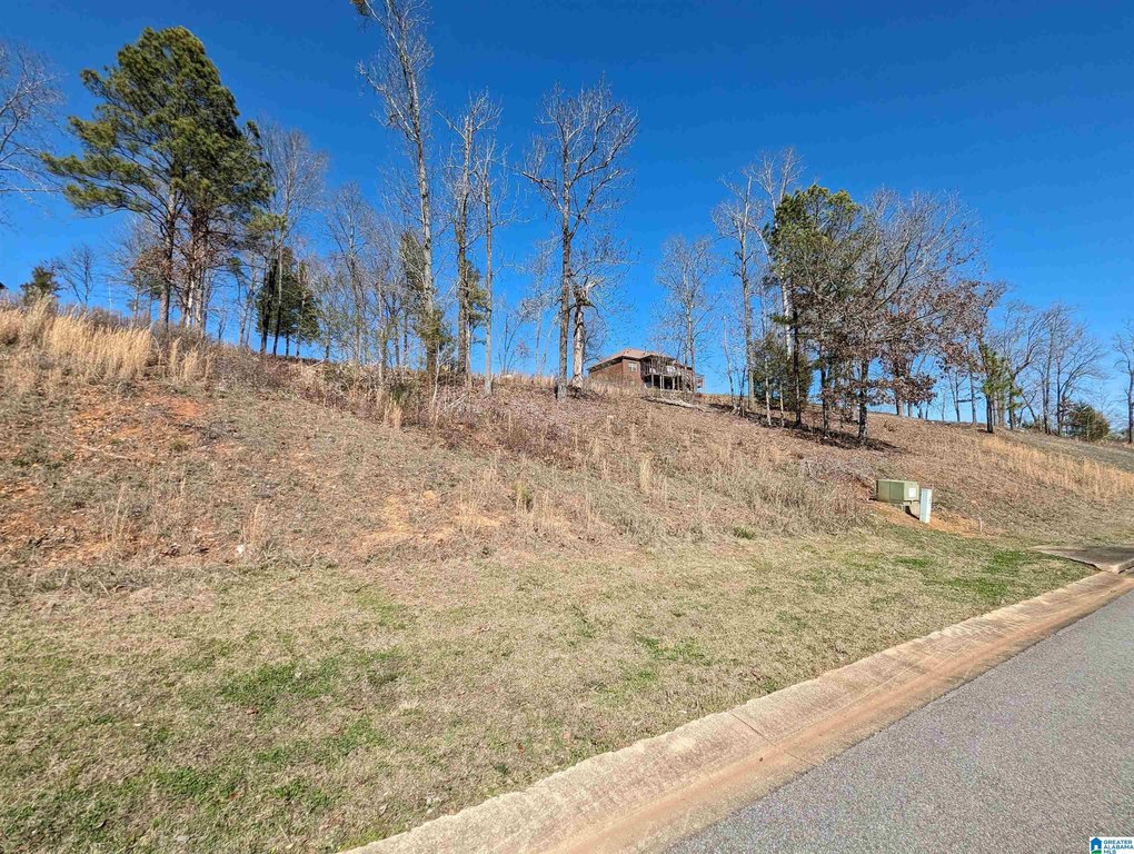 Picture 27