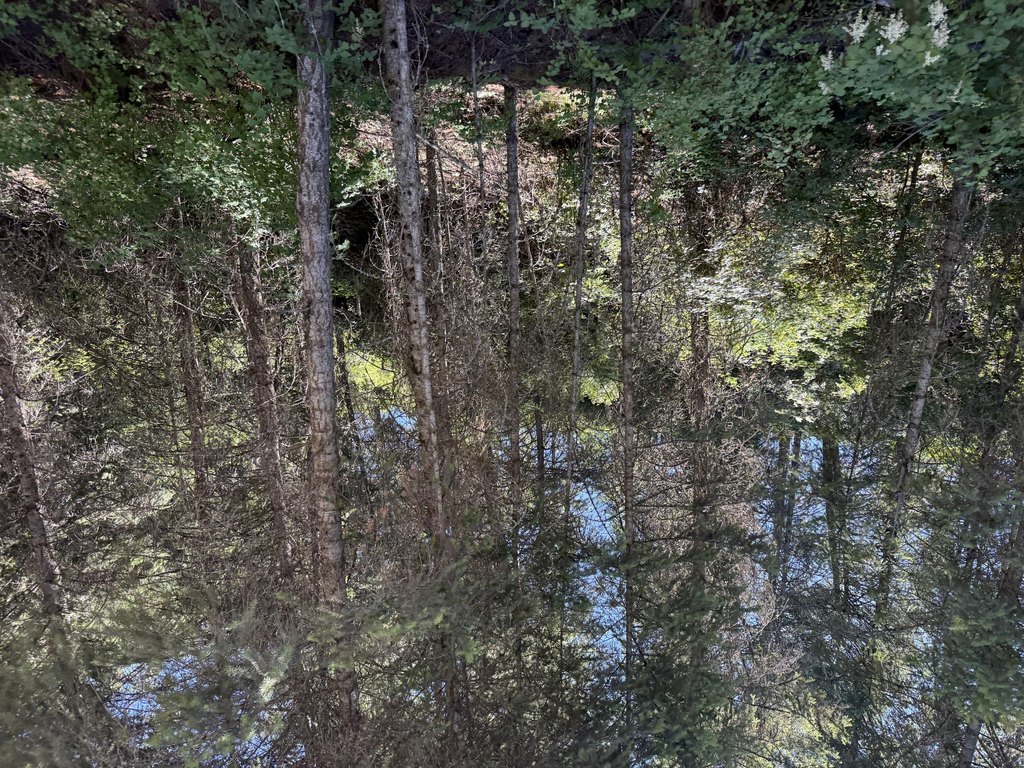 Picture 23