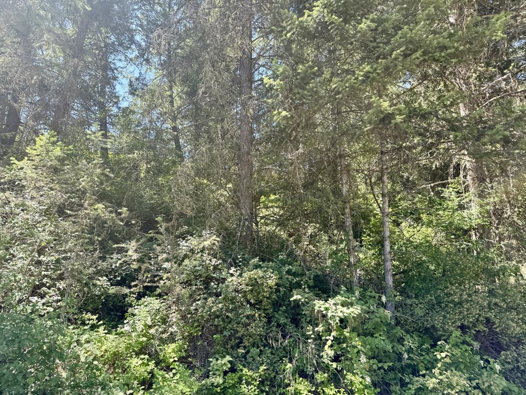 Picture 22