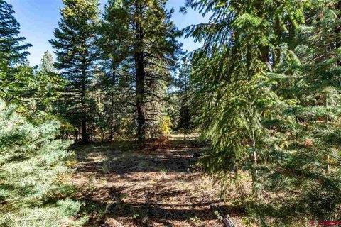 LAND, Pagosa Springs, CO