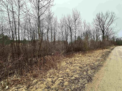 Wooded Waterfront Land Lot