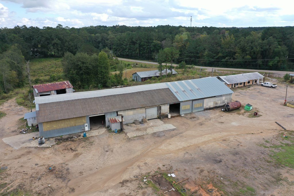 Picture 11