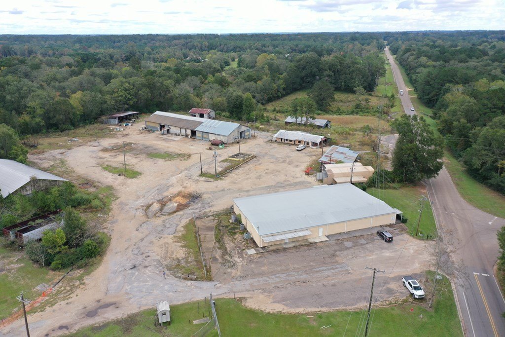 Picture 8