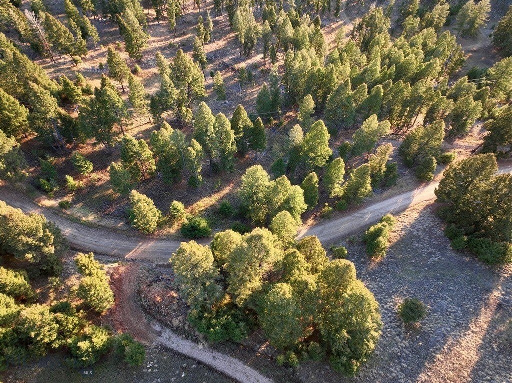Picture 5