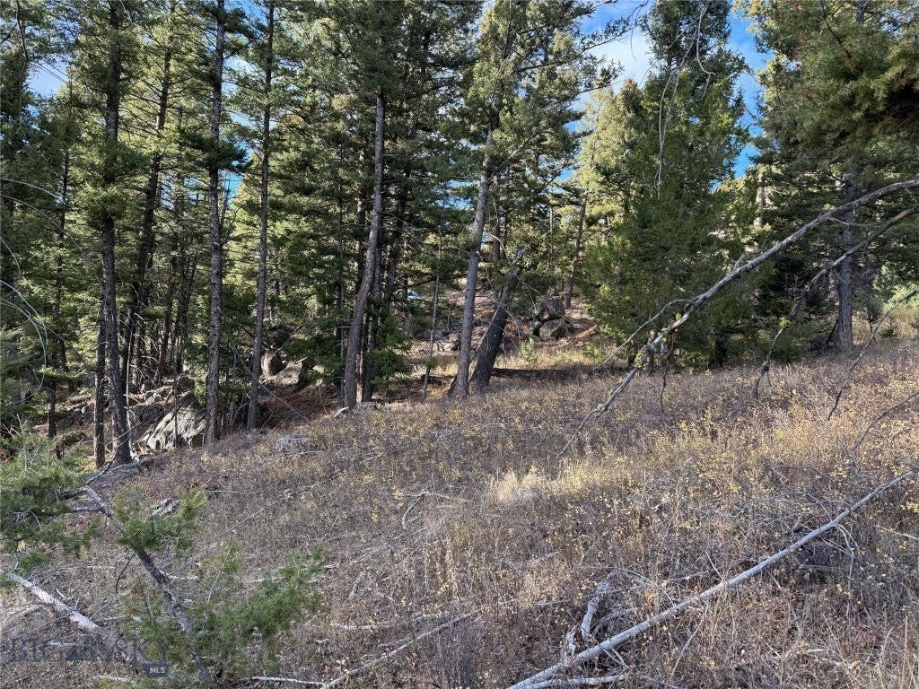Picture 21