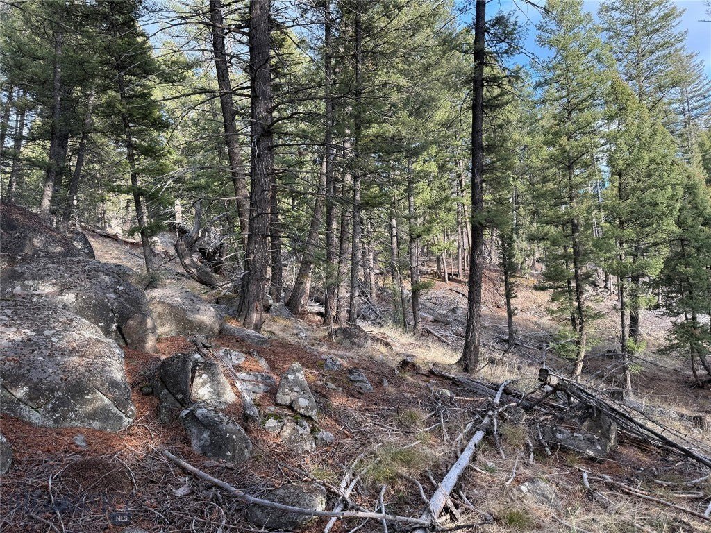 Picture 25