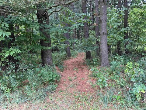 Potsdam Land Opportunity